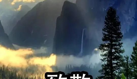 非线性朝堂对弈